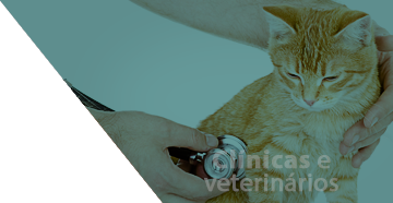 clinicas e veterinarios